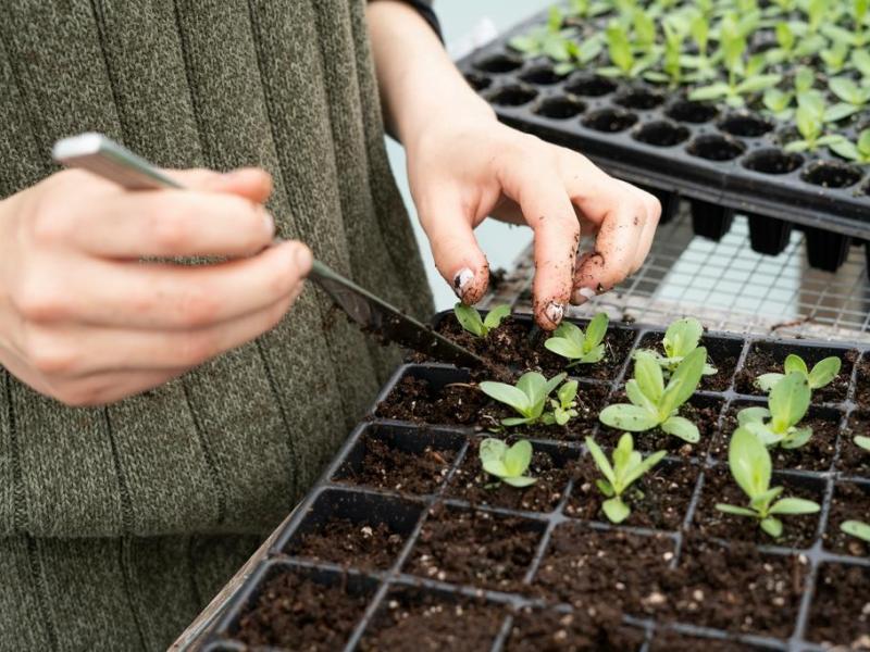 Novi distribucijski centar u Trogiru — bliže dalmatinskim proizvođačima