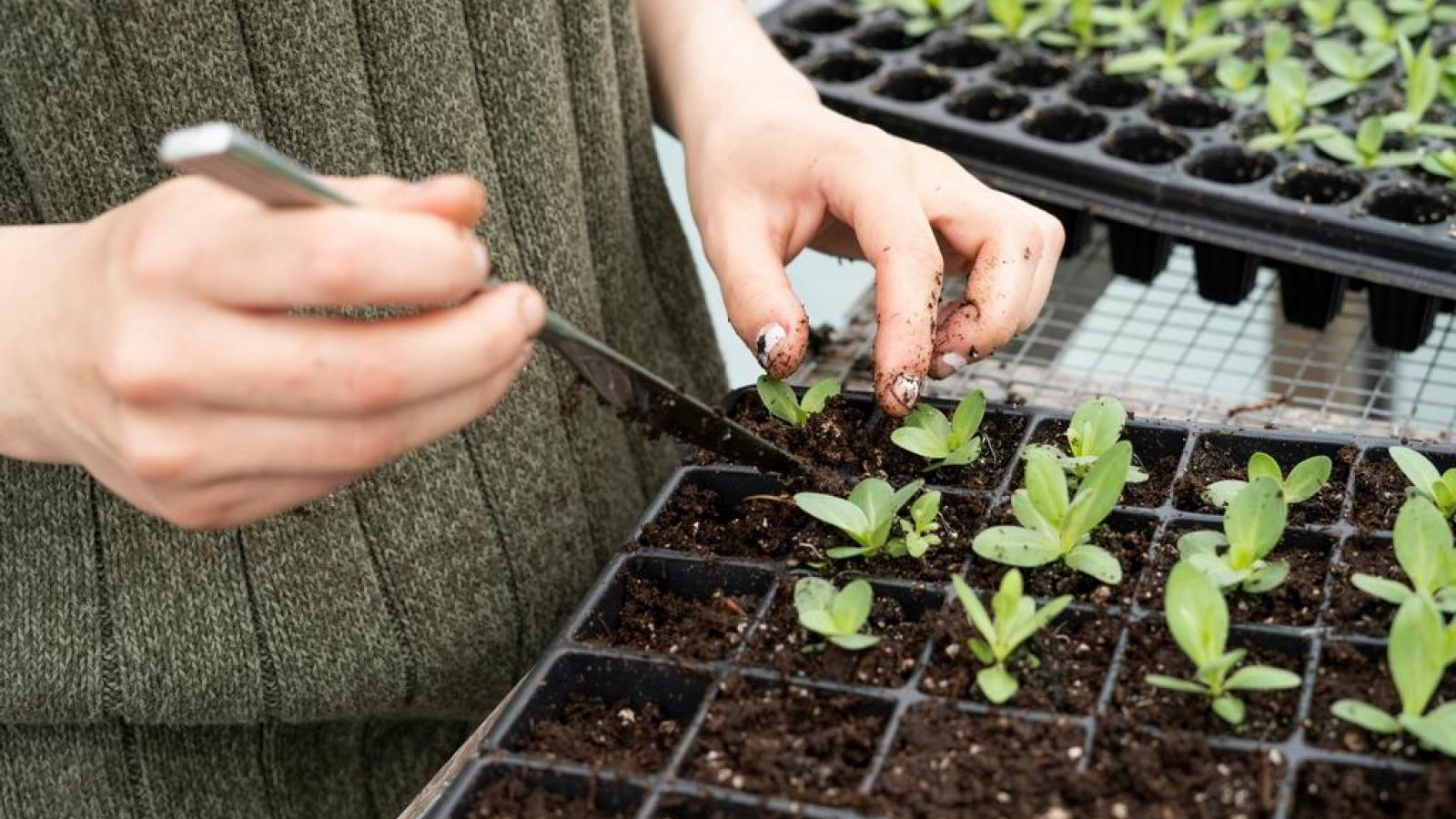 Novi distribucijski centar u Trogiru — bliže dalmatinskim proizvođačima