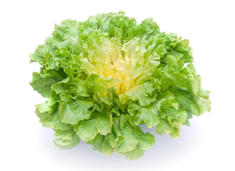 ORIOSOL RZ