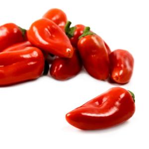 RED TATIN RZ F1