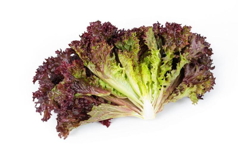 SAMANTINE RZ