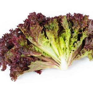 SAMANTINE RZ