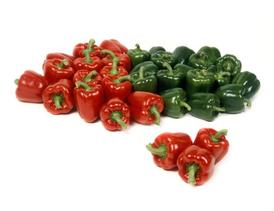 Babura tricolore