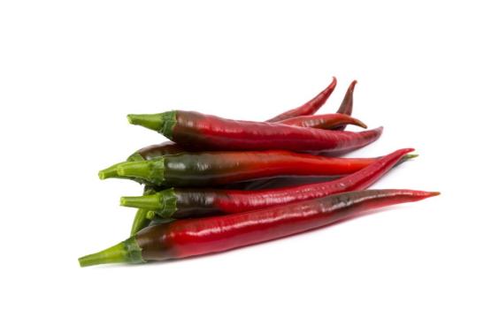 Ljuta (chilli)