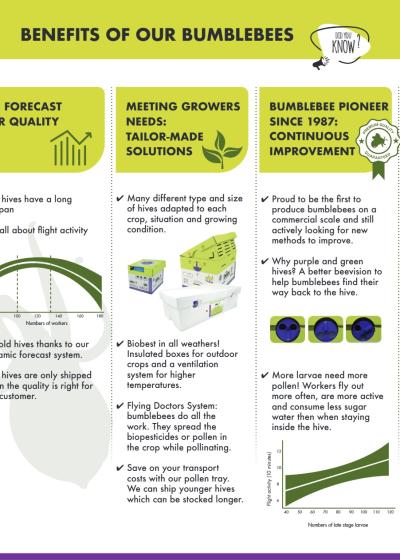Benefits of our bumblebees