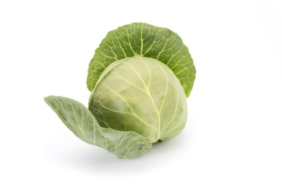 KUPUS BIJELI