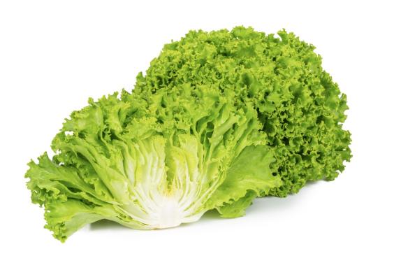 SALATA