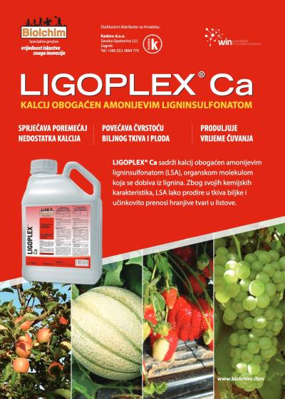 Biolchim Ligoplex Ca