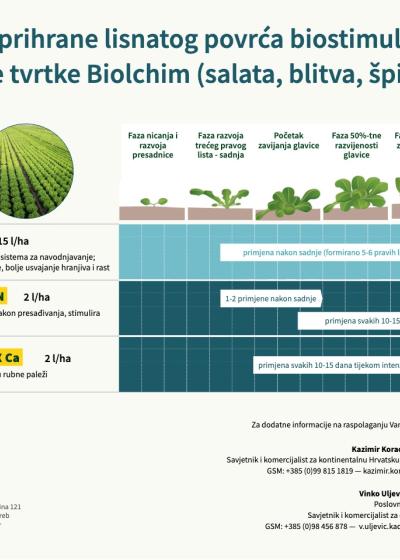 Biolchim - program prihrane salate u plastenicima