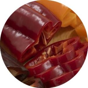 PALERMO OBEDIUS RZ F1
